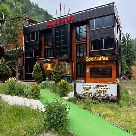 Bavul Uzungol