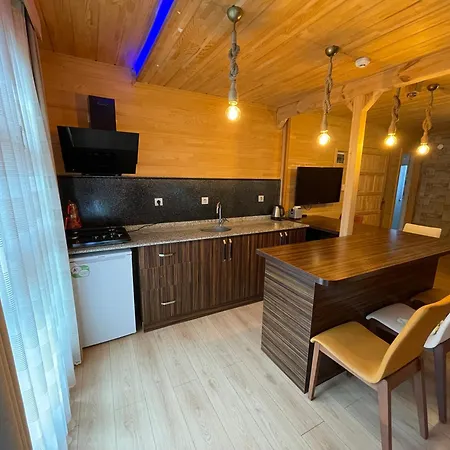 Apartment Bavul Uzungol